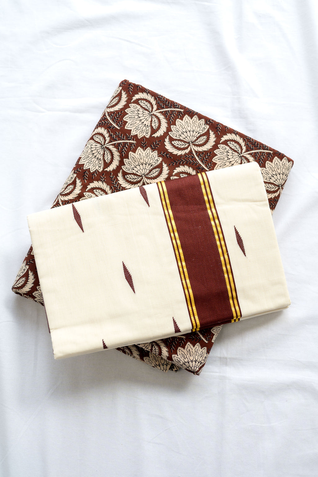 Coffee Brown Kara Balaramapuram Handloom Saree with Bagru Blouse