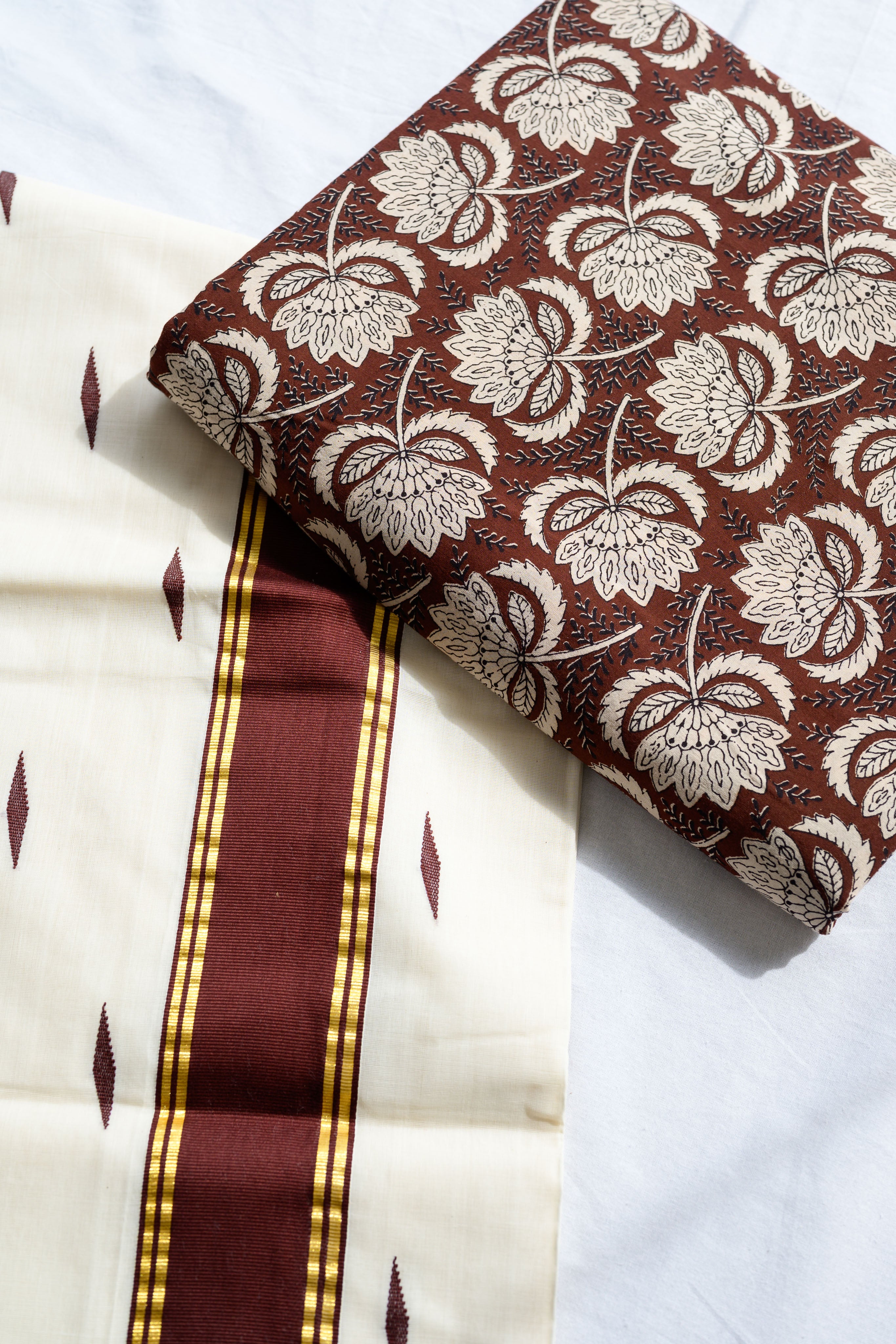 Coffee Brown Kara Balaramapuram Handloom Saree with Bagru Blouse