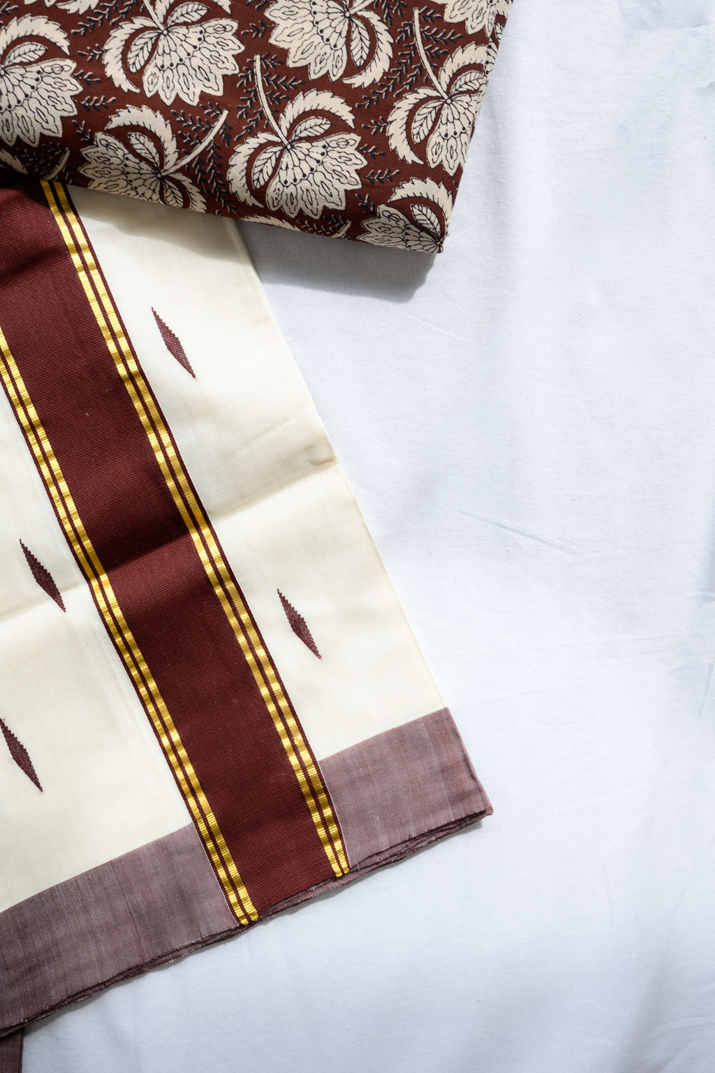 Coffee Brown Kara Balaramapuram Handloom Saree with Bagru Blouse