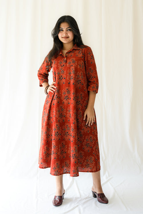 Elaine Shirt Collar Dress